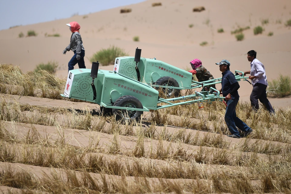 Рабочие в городе Увэй, провинция Ганьсу, борются с опустыниванием. Усовершенствованные технологии позволяют сдерживать наступление песка и ветров пустыни / ЧЭНЬ БИНЬ / СИНЬХУА
