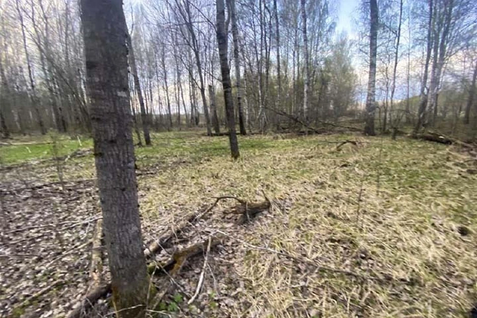 СК проводит проверку по факту гибели мужчины в Тверской области Фото: СУ СК РФ по Тверской области