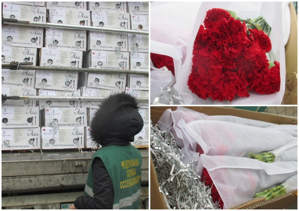 Цветы доставили из Китая. Фото: Уральское управление Россельхознадзора
