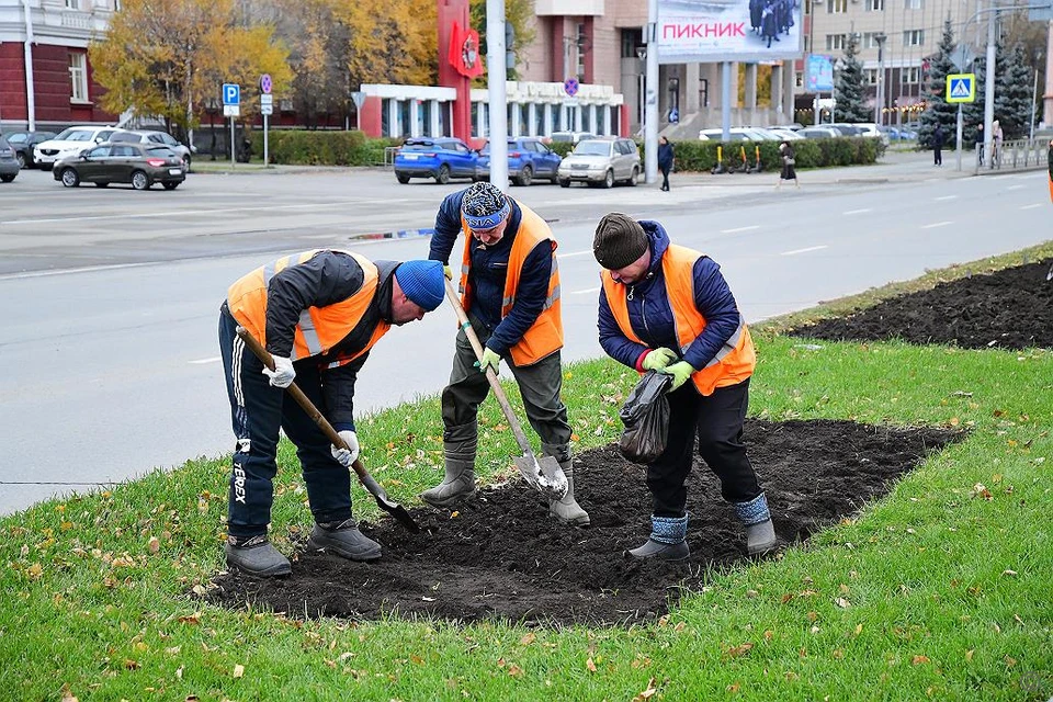 Массовая высадка цветов в Барнауле начнется после 20 мая