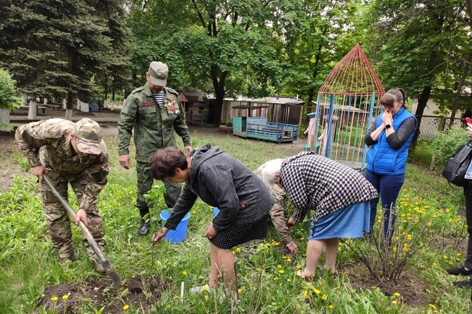 В Макеевке высадили саженцы в память о погибших защитников Донбасса. Фото: Защитники Отечества ДНР