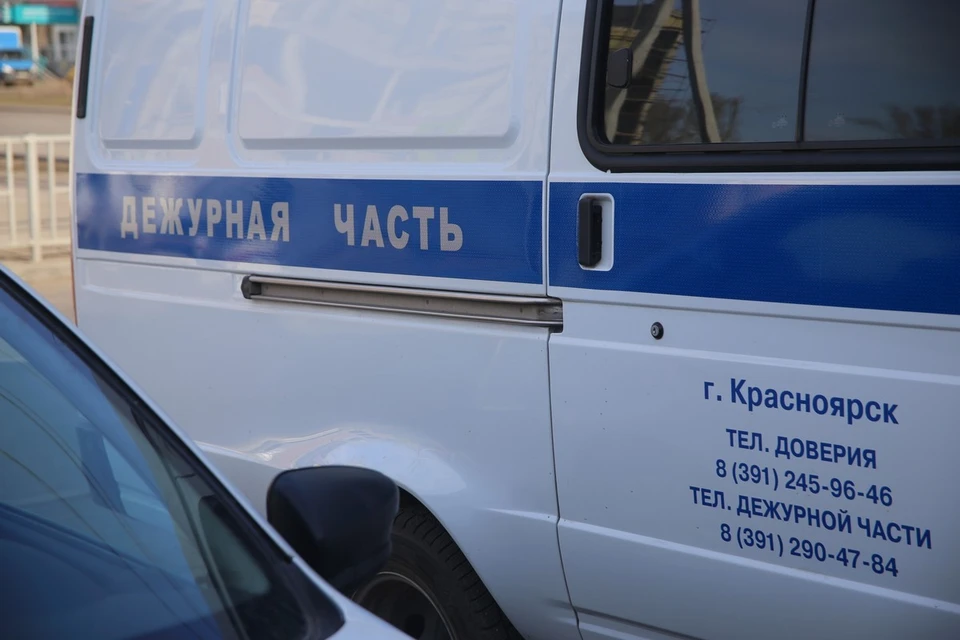 В Красноярске полиция разыскивает женщину, избивавшую собаку в лифте