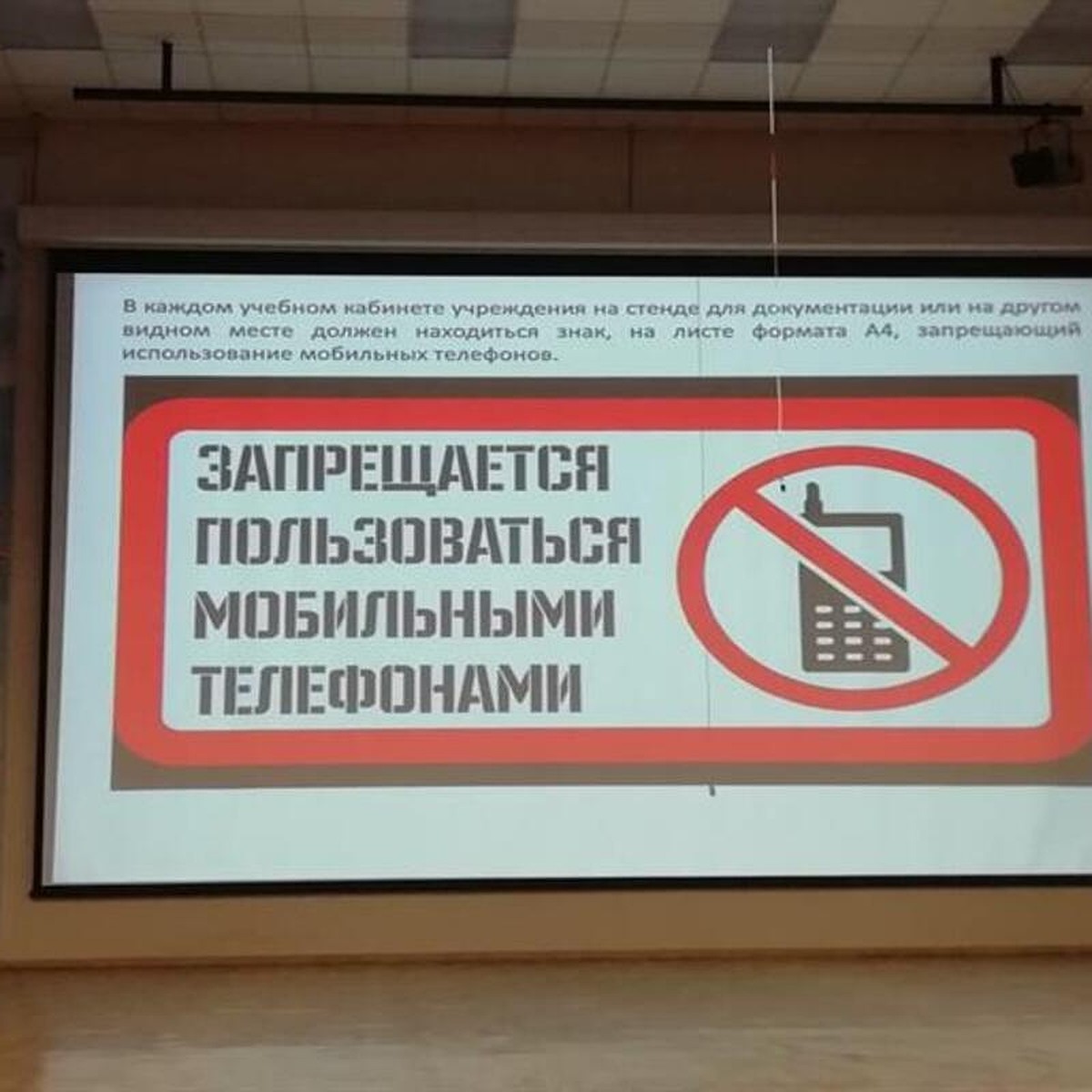 В красноярской школе собираются установить «глушилки» мобильной связи -  KP.RU