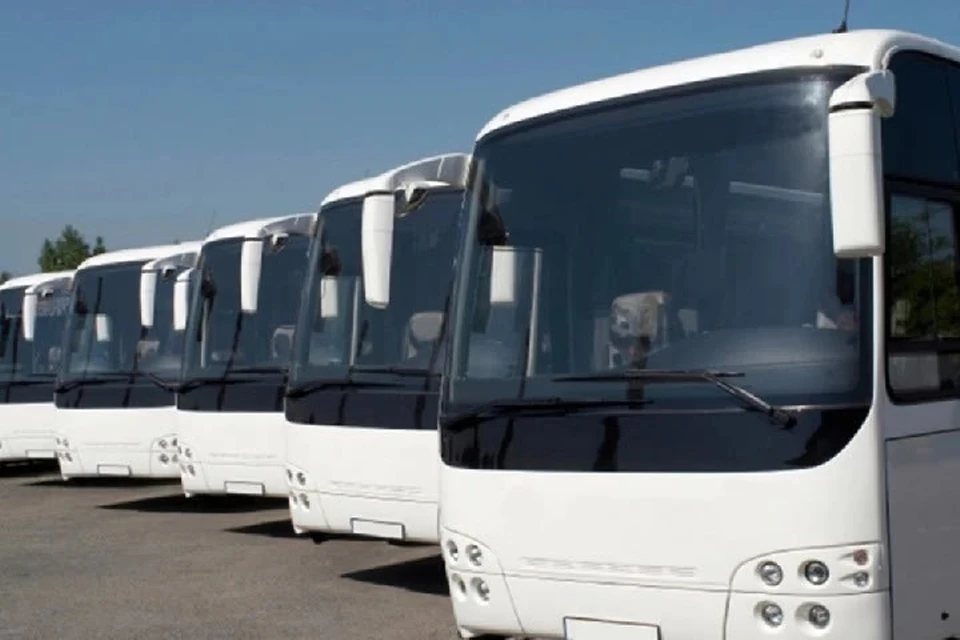 В Донецке на маршруты вышли новые автобусы. Фото: Минтранс ДНР