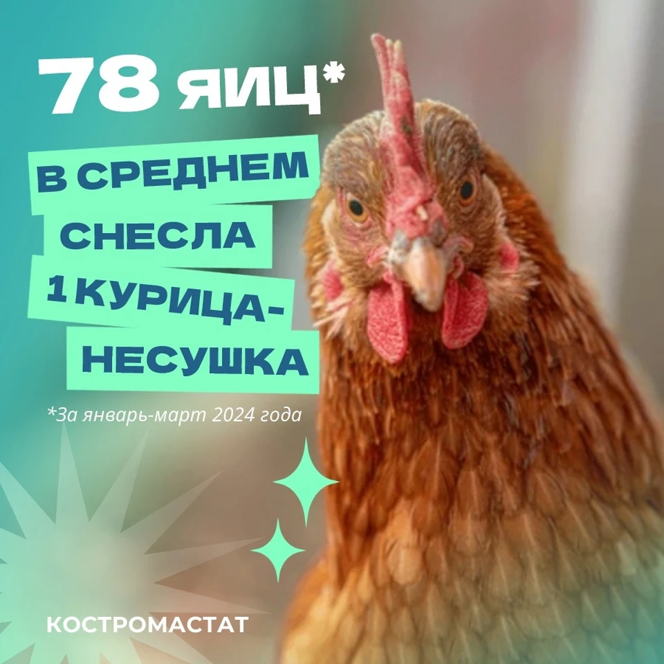 Фото: Костромастат