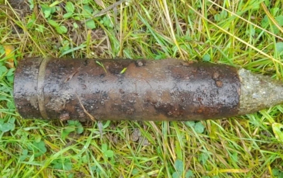 В Ульяновском районе обнаружили боеприпасы времен войны