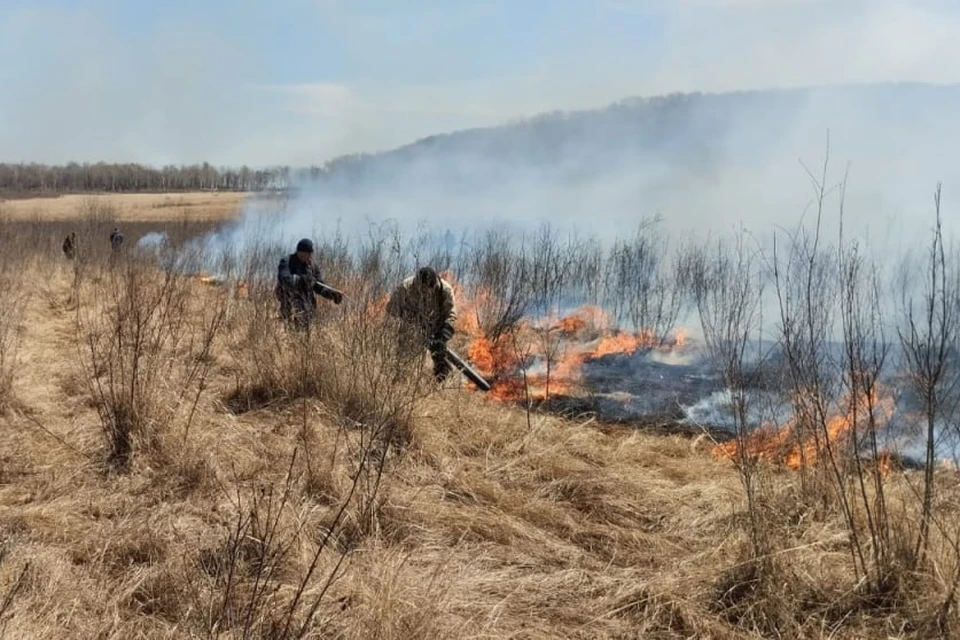 Тушение пожара в Хинганском заповеднике. Фото: ТГ Амурские спасатели