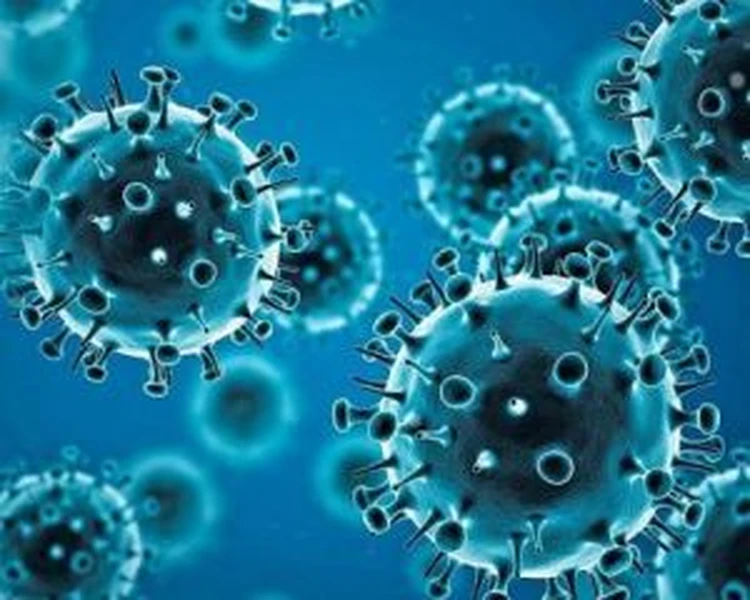 Учёные создали вакцину против разных видов коронавируса