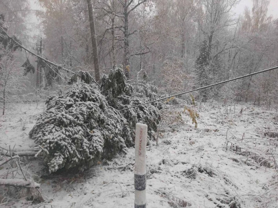 769 энергетиков задействованы в устранении последствий снегопада в Нижегородской области. ФОТО: Россети