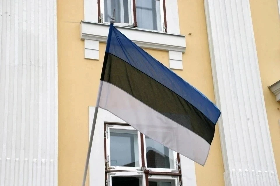 Полиция Эстонии задержала трех человек, размахивающих флагом России из авто