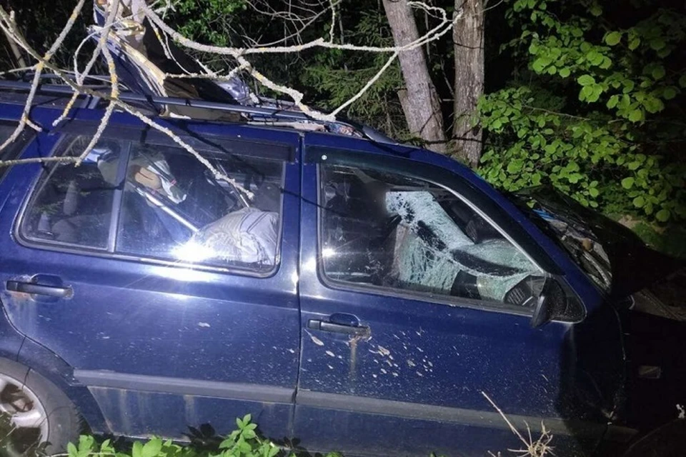 Водитель погиб из-за выбежавшего на дорогу лося под Минском. Фото: ГАИ УВД Минрайисполкома.
