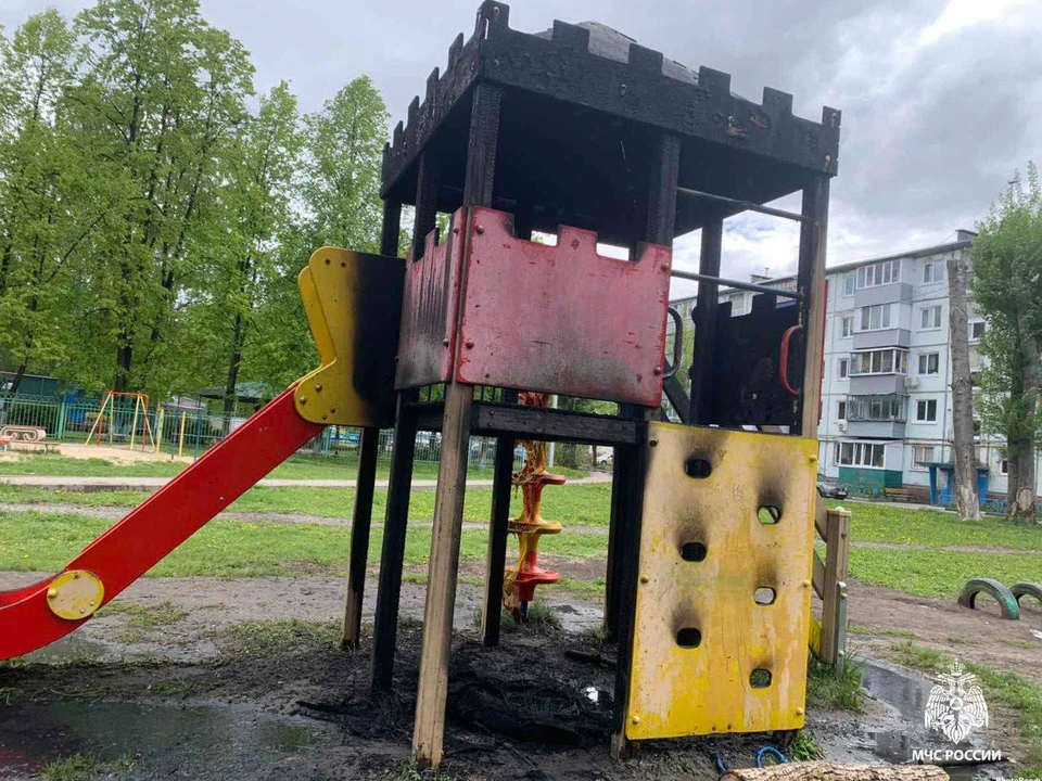 ФОТО: ГУ МЧС России по Ульяновской области