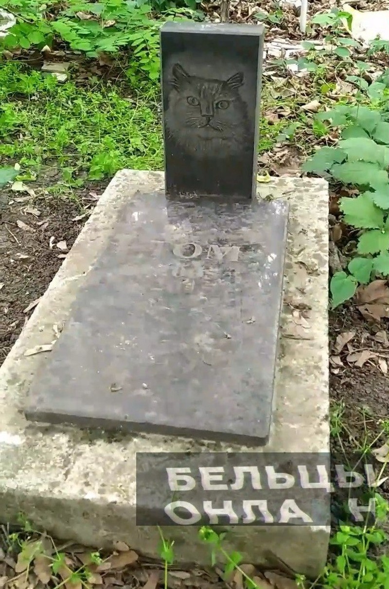 Похоронить своих любимых питомцев - хлопотное дело. Фото:бельцы-онлайн