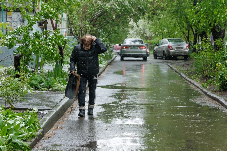 Снег убивал людей и ломал деревья: самые мощные и разрушительные майские снегопады в истории Челябинска