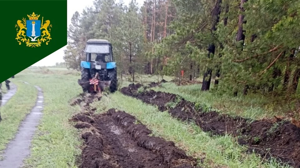 В лесах Ульяновской области обустроят более 2000 км минполос. ФОТО: минприроды УО