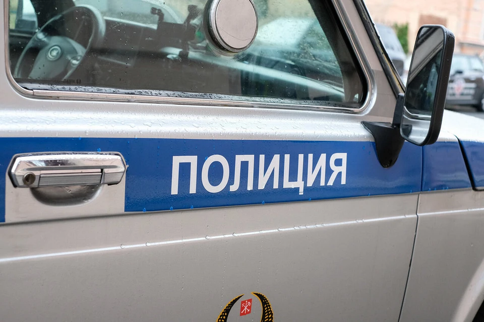 Полиция проводит проверку обстоятельств смертельного ДТП на трассе в Ленобласти.