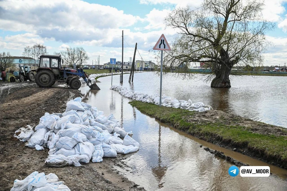 Фото: Информационный центр правительства Тюменской области.