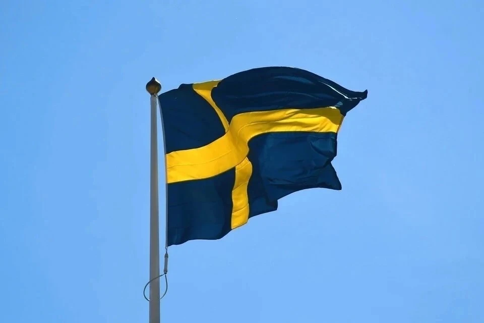 Глава Минобороны Швеции Йонсон исключил отправку войск на Украину