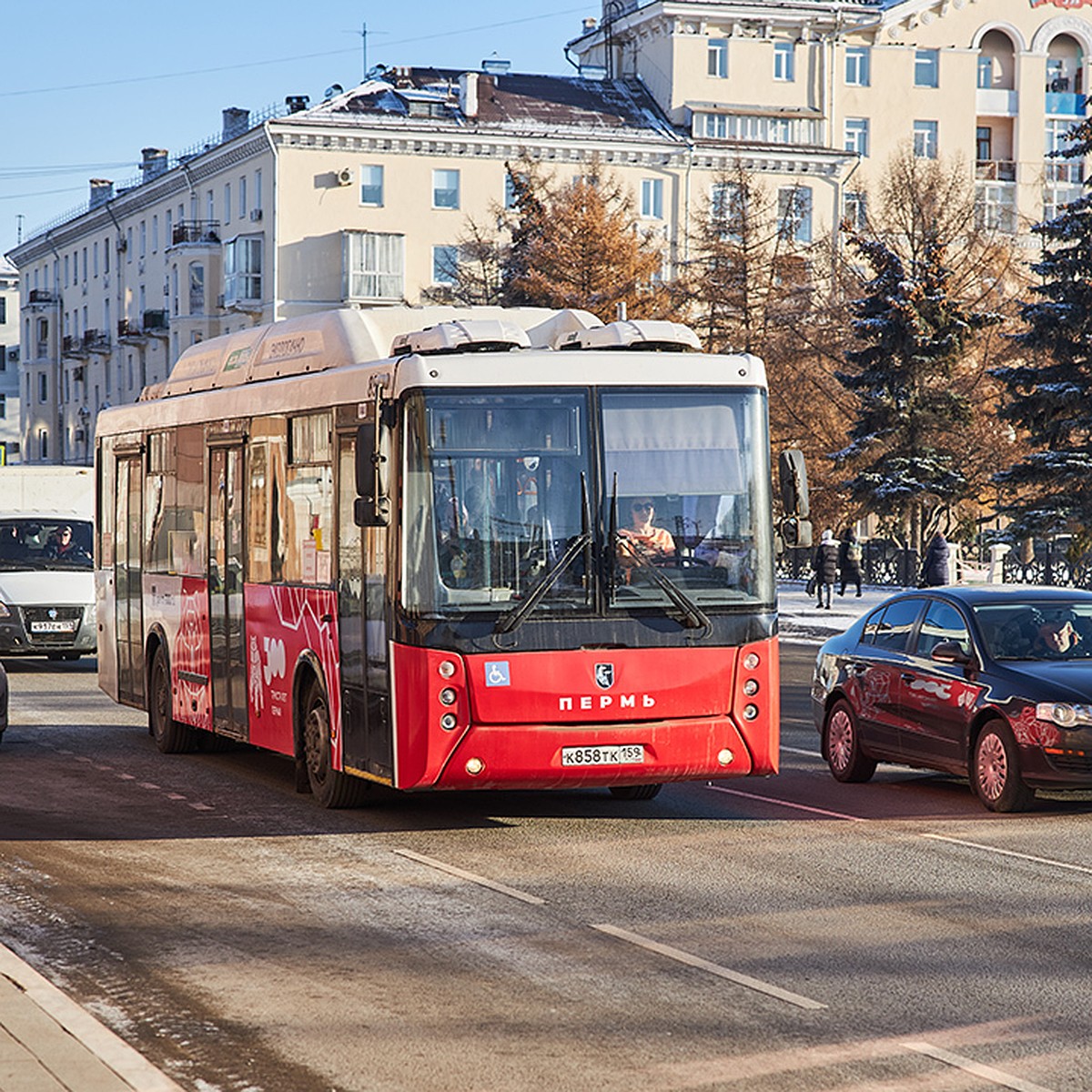 В Перми мальчик вышел из автобуса и попал под колеса автомобиля - KP.RU