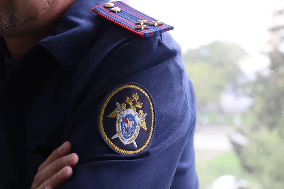 В Домодедово сотрудник миграционной службы незаконно выдавал мигрантам российские паспорта