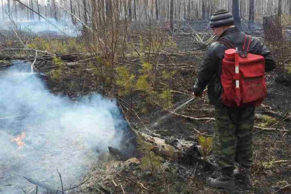 13 лесных пожаров потушили за сутки в Иркутской области