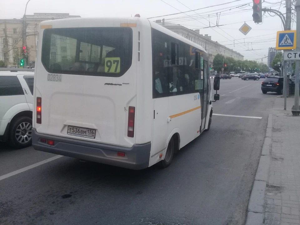Первый транспорт на набережную запустят в начале лета.