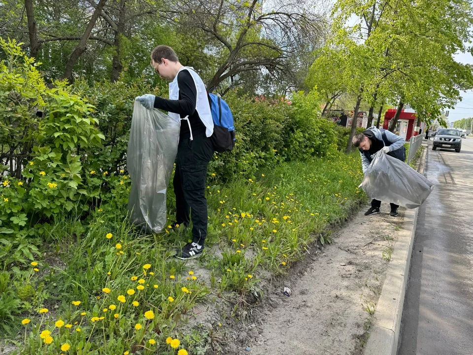 В Ульяновске проходит санитарная пятница. Фото телеграм-канал Александра Болдакина