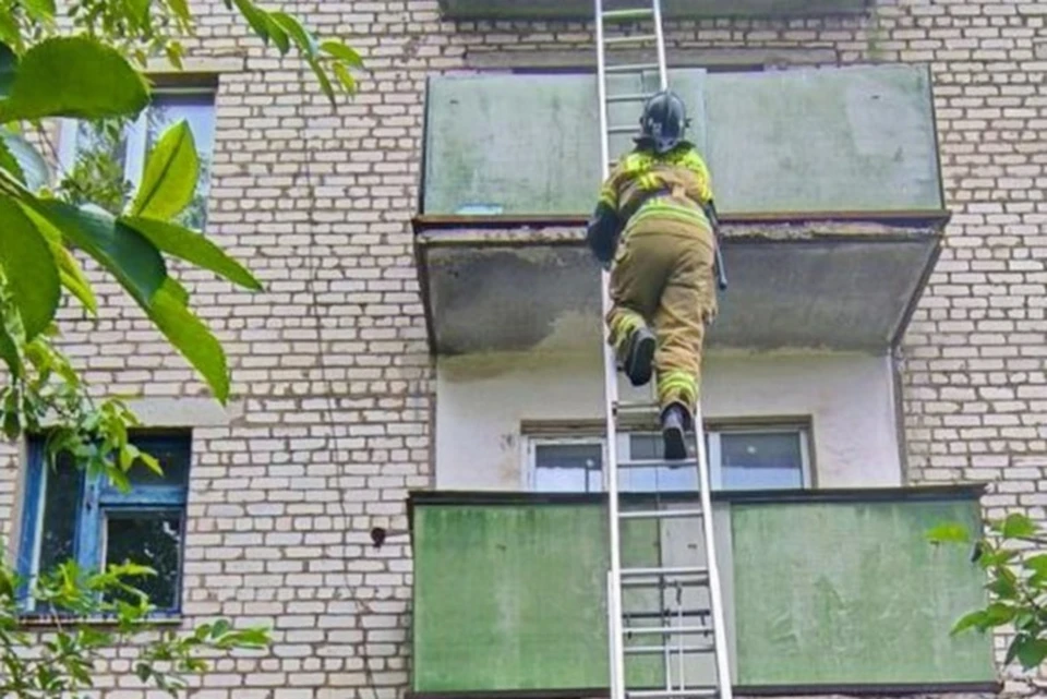 Сотрудники ведомства через окно попали в квартиру на третьем этаже. Фото: МЧС России по ДНР