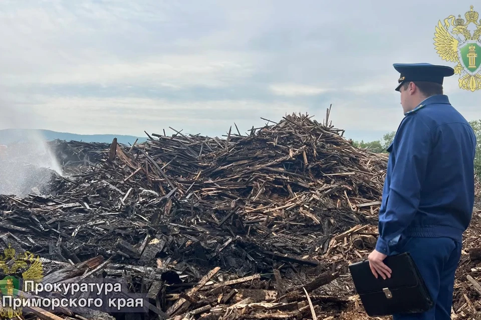 Прокуратура взяла расследование на контроль. Фото: прокуратура Приморского края