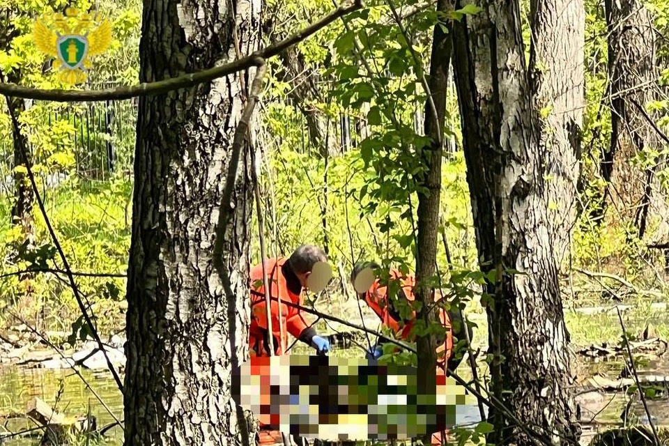 В лесопарковой зоне вблизи Большого Купавенского проезда нашли тело несовершеннолетий
