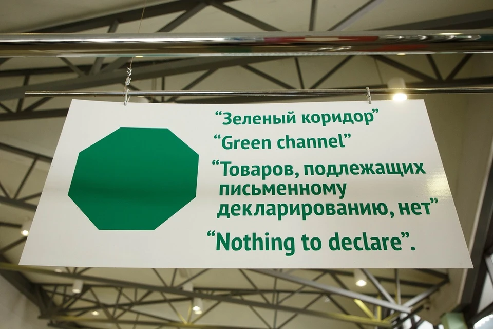 В новосибирском аэропорту спаниель нашла у пассажирки тысячи долларов и евро