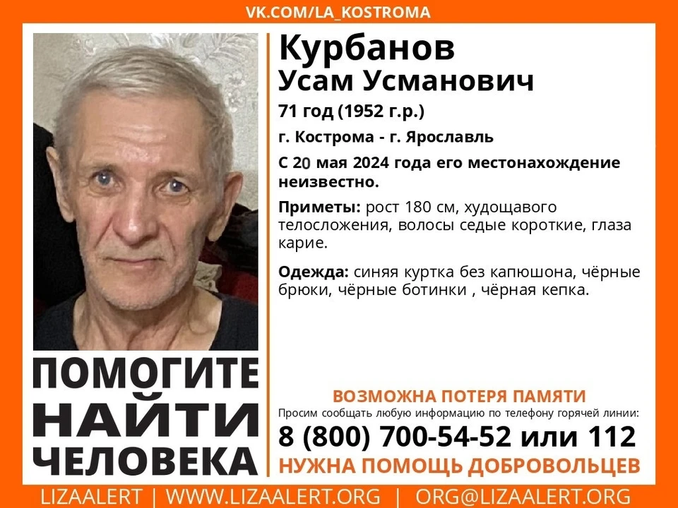Фото: Поисковый отряд "ЛизаАлерт" Костромской области