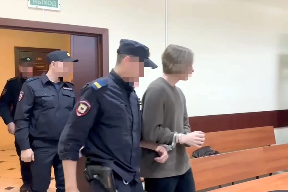 Подростку уже предъявили обвинение по статье «убийство». Фото: пресс-служба Троицкого суда Москвы