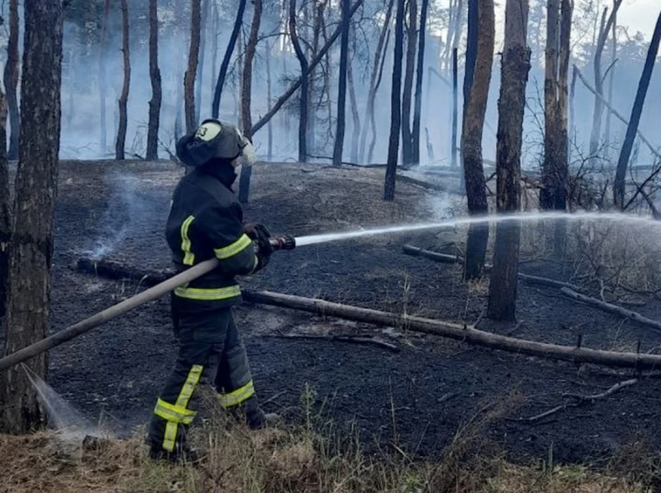 В ЛНР тушили природные пожары. Фото - тг-канал МЧС республики