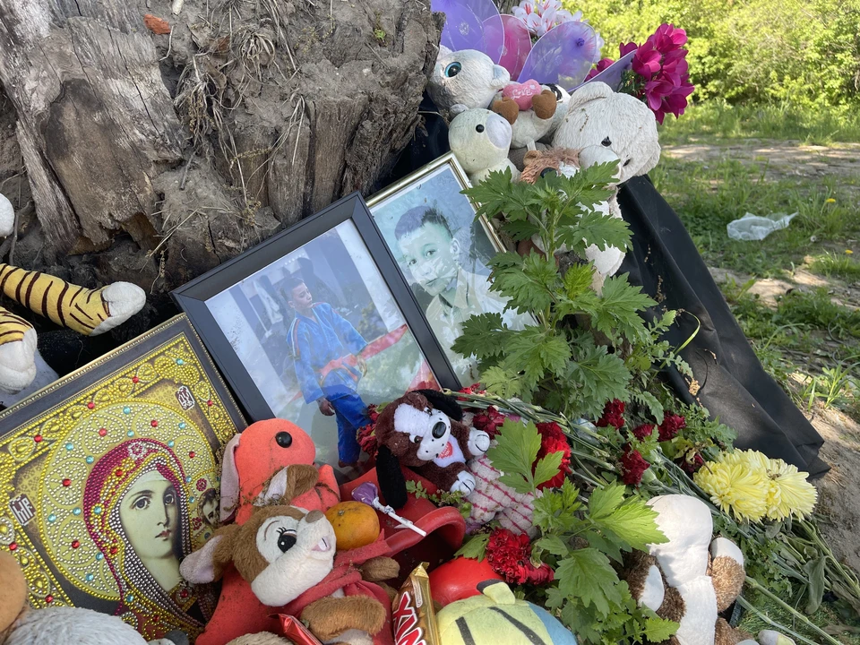 Александр Бастрыкин распорядился возобновить следствие по делу о гибели 11-летнего мальчика в Подмосковье