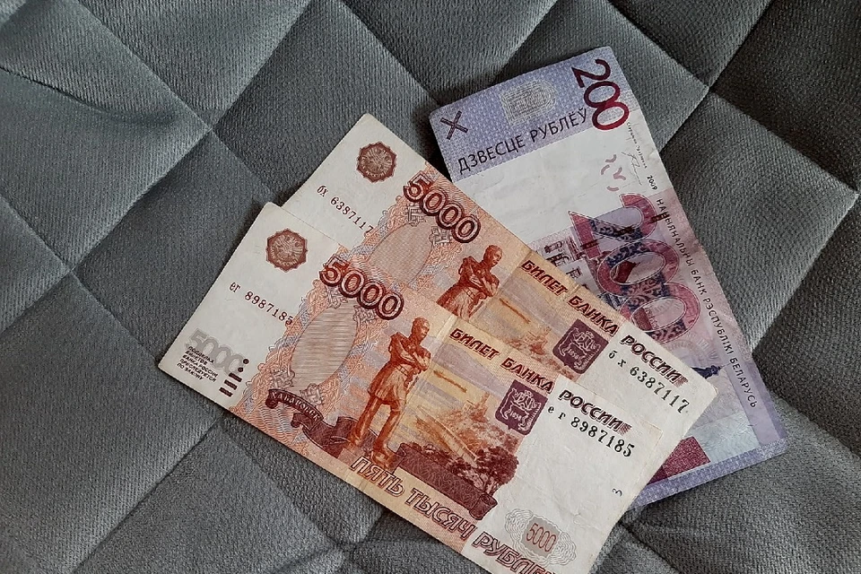 Россия готова удвоить и утроить кредитование в Беларуси импортозамещающих проектов. Фото: архив «КП».