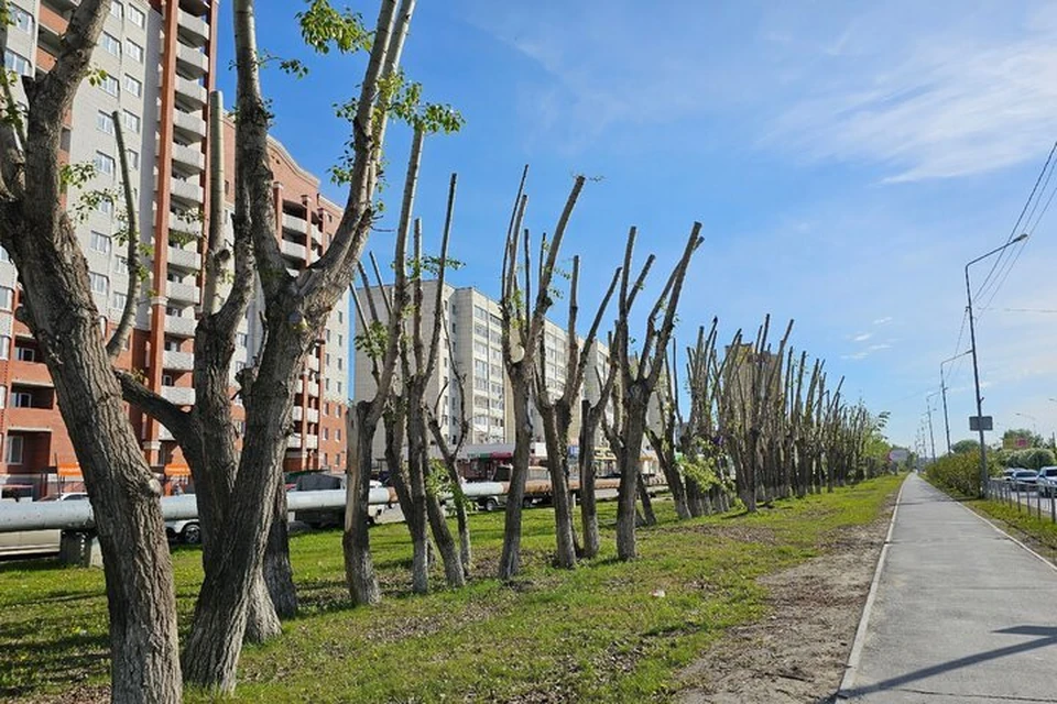 Фото: Раушана Умарова.