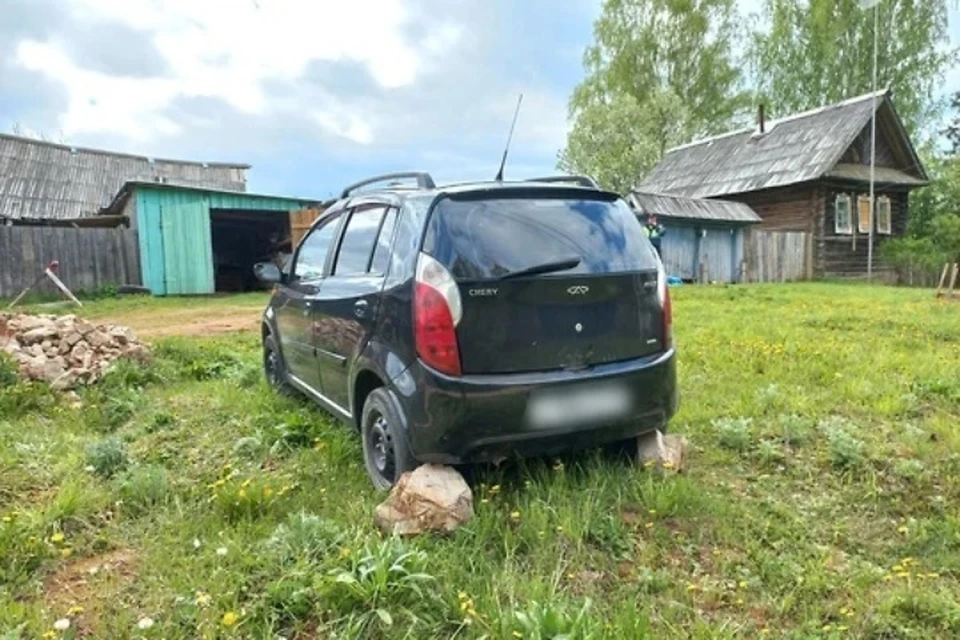 Пенсионер умер на месте трагедии. Фото: Госавтоинспекция Удмуртии