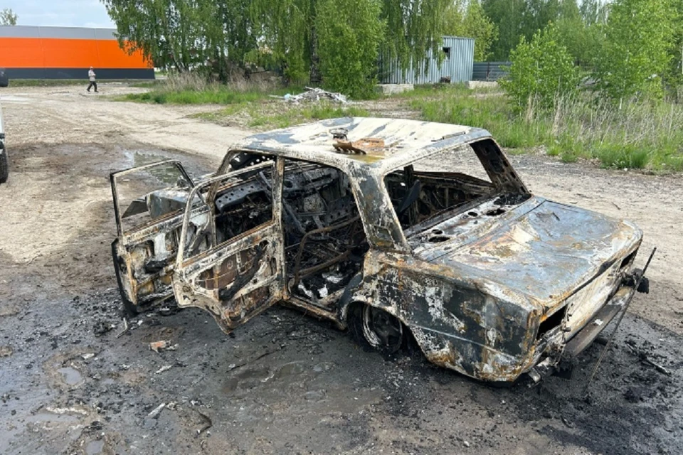 В Новосибирске трое парней угнали «ВАЗ», а потом сожгли его. Фото: ГУ МВД НСО.