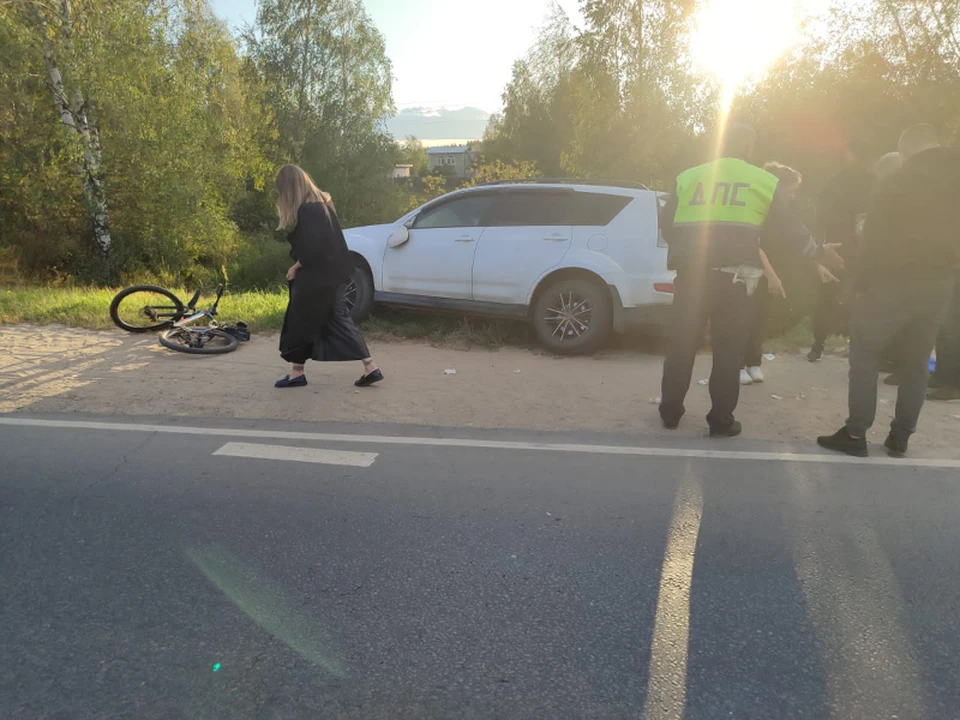 Очевидцев наезда на велосипедиста под Рязанью срочно ищет полиция. Фото: УМВД по Рязанской области.