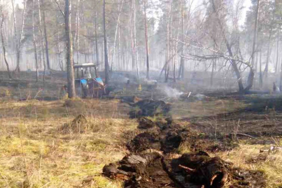 Восемь лесных пожаров потушили за сутки в Иркутской области.
