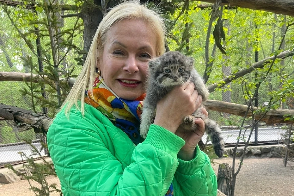 В Новосибирском зоопарке котенка манула назвали Анечкой. Фото: паблик Анны Терешковой