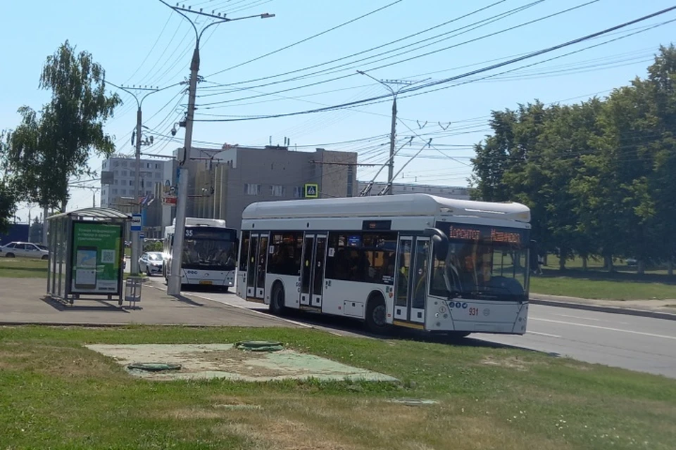 Цена проезда в троллейбусах будет ниже, чем в автобусах.