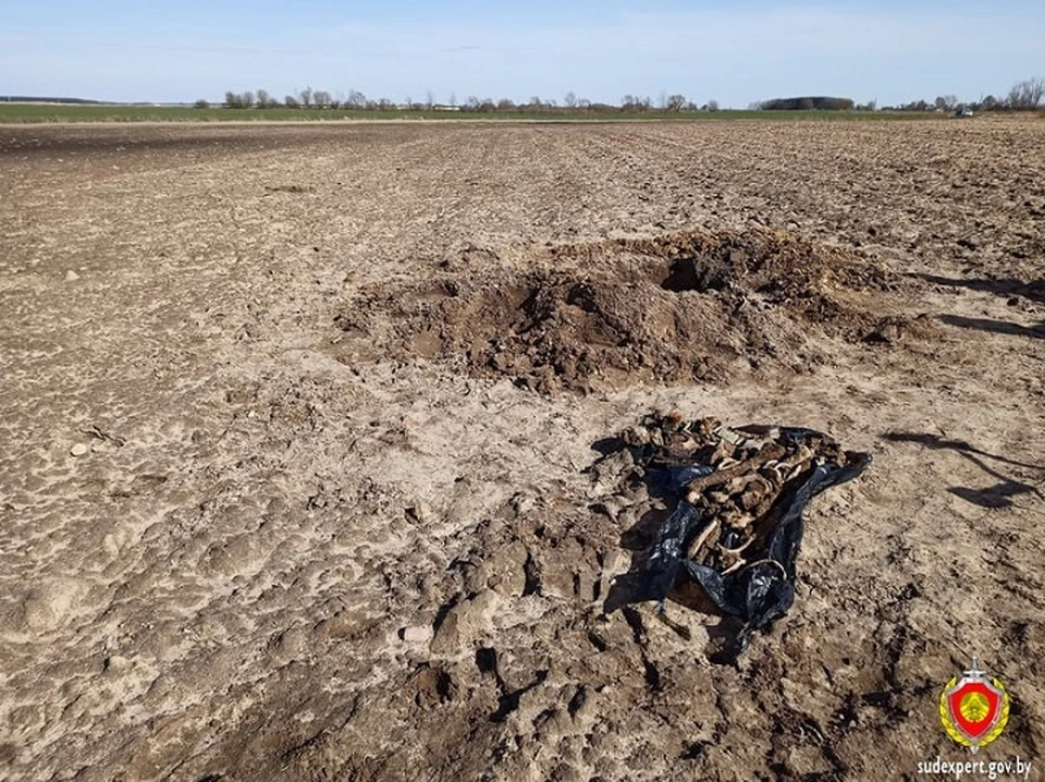 Останки погребенного человека обнаружили на месте старого хутора под Каменцем. Фото: ГКСЭ.