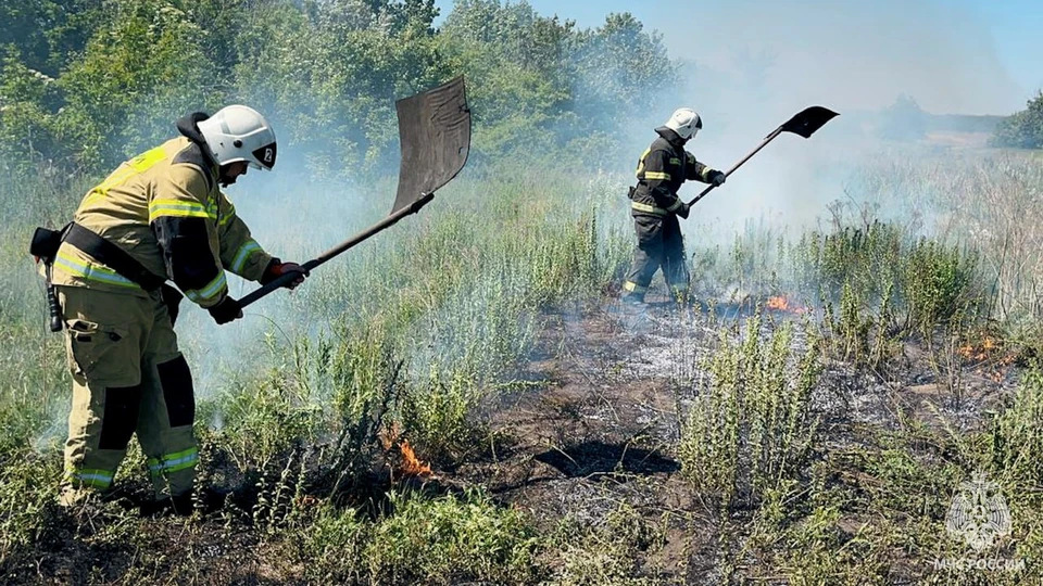 Выгорело 31,5 гектаров кустарника, камыша, сухой растительности и мусора. ФОТО: МЧС ЛНР