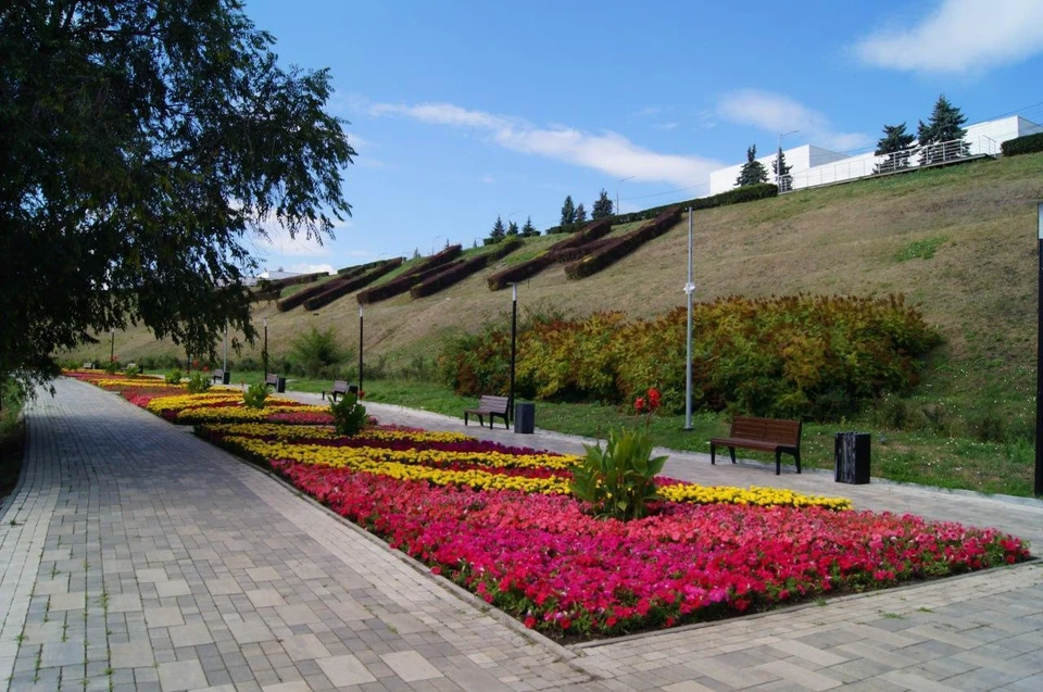 Самым распространенным цветком на клумбах Ульяновска стала петуния. Фото Городской центр по благоустройству и озеленению
