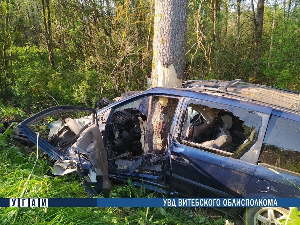 Водитель Chrysler погиб в жестком ДТП в Городокском районе - KP.RU