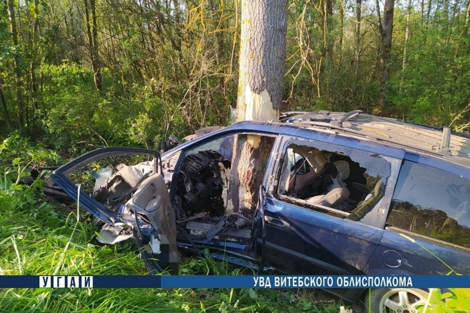 Chrysler вылетел в кювет и врезался в дерево. Фото: УГАИ УВД Витебского облисполкома.