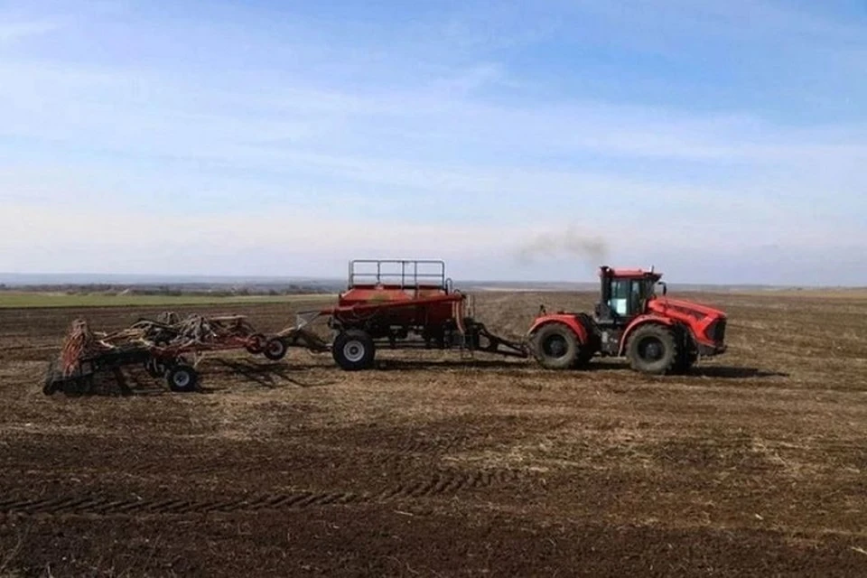 В ДНР из-за непогоды повреждены посевы на более 70 тысячах гектаров