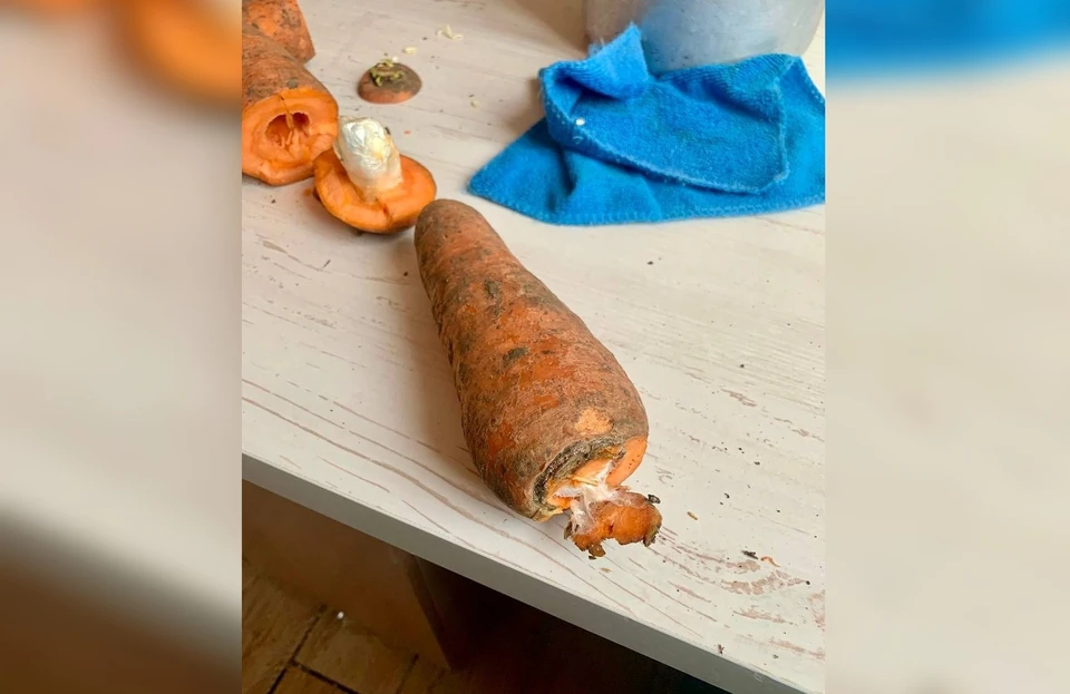 В морковке нашли три свертка с запрещенным веществом / Фото: УФСИН по Самарской области